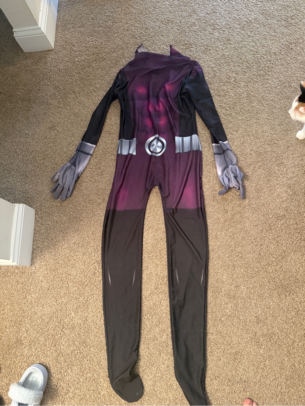 Beast Boy cosplay/ costume DC comic